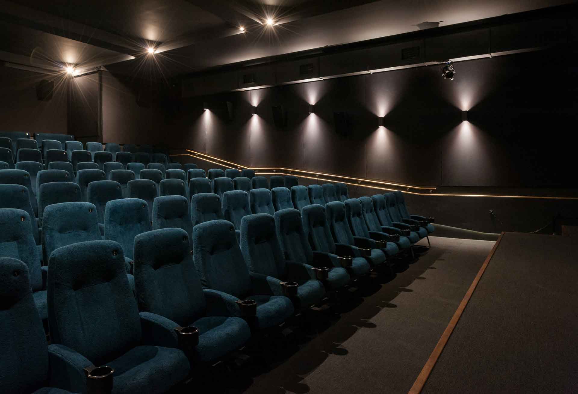 Dulwich Picturehouse photographs just in