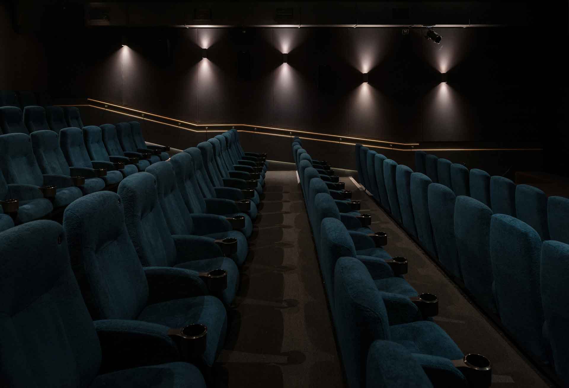 Dulwich Picturehouse photographs just in